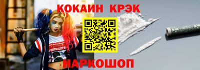 гашик Новозыбков