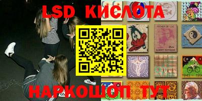стафф Новодвинск