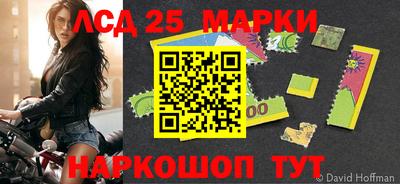 стафф Новодвинск