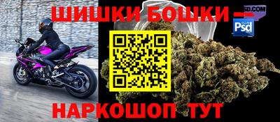стафф Новодвинск