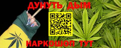 стафф Новодвинск