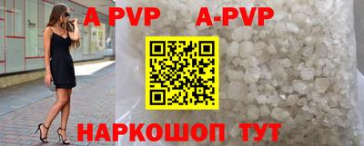 гашик Новозыбков