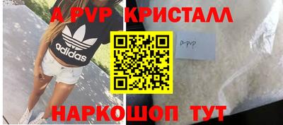 гашик Новозыбков