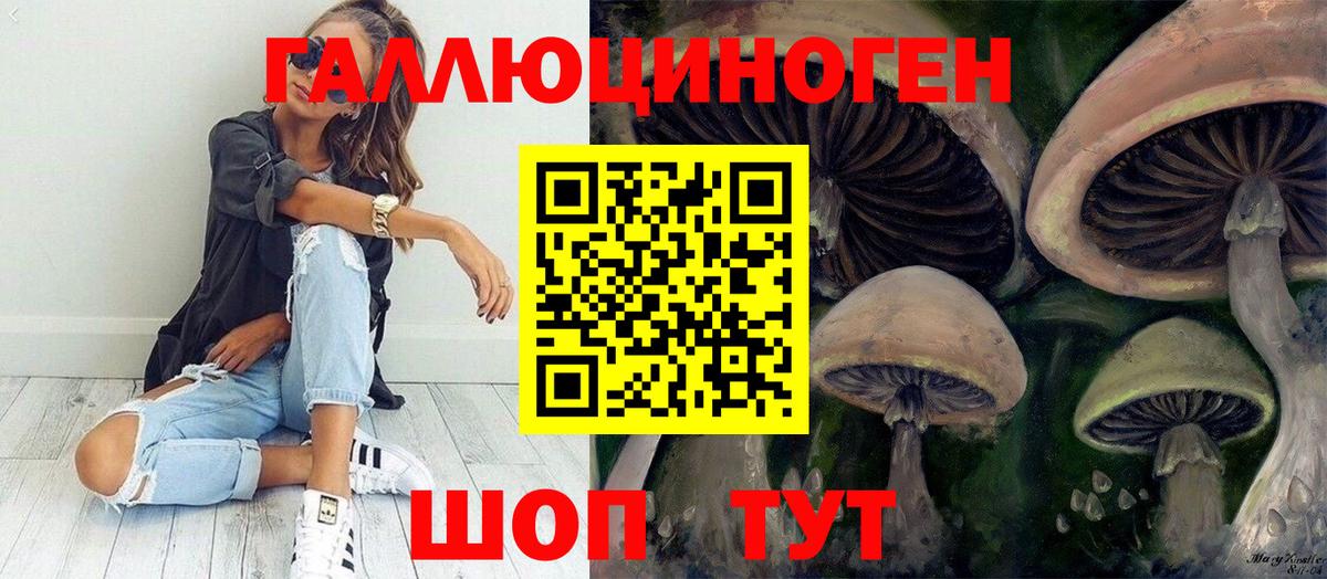 Псилоцибиновые грибы мицелий Родники