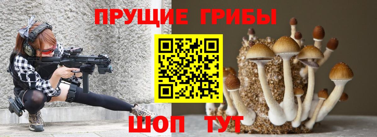 где купить   Галлюциногенные грибы Cubensis  Вход с VPN  Родники 
